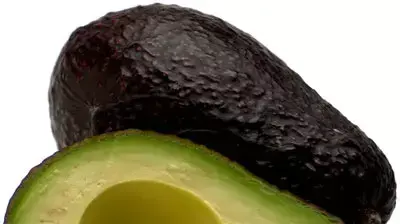 אבוקדו אבוקדו (Artoday)