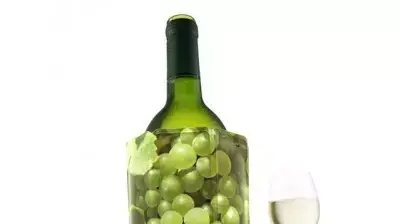 מעיל יין (יח"צ)