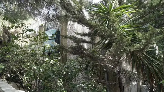 ביתו של משה כחלון (ערן גילווארג)