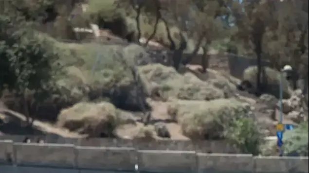 משפחות ערביות ויהודיות מבלות בחוף הים בחופש הגדול (נמרוד סונדרס)