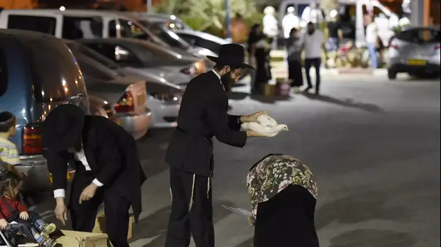 מנהג הכפרות, כפר חב"ד, 20 בספטמבר 2015 (ראובן קסטרו)