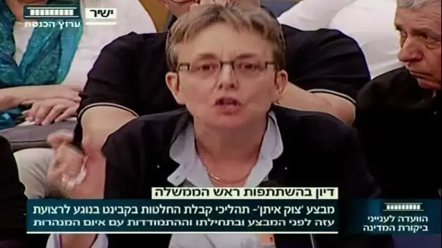 לאה גולדין, אמו של הדר גולדין, התפרצה לעבר ראש הממשלה בדיון על דוח "צוק איתן", אפריל 2017 (צילום מסך , ערוץ הכנסת)