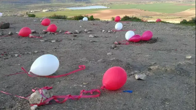 בחור שהציע נישואים לבת זוגתו השאיר פסולת ביער הנשיא, ינואר 2012 (צילום מסך , פייסבוק)
