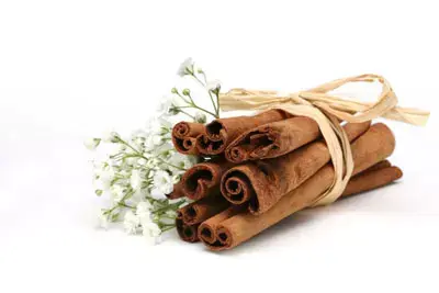 מקלון קינמון (ShutterStock)