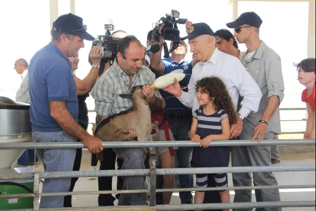 הדי עפאים (יח"צ)