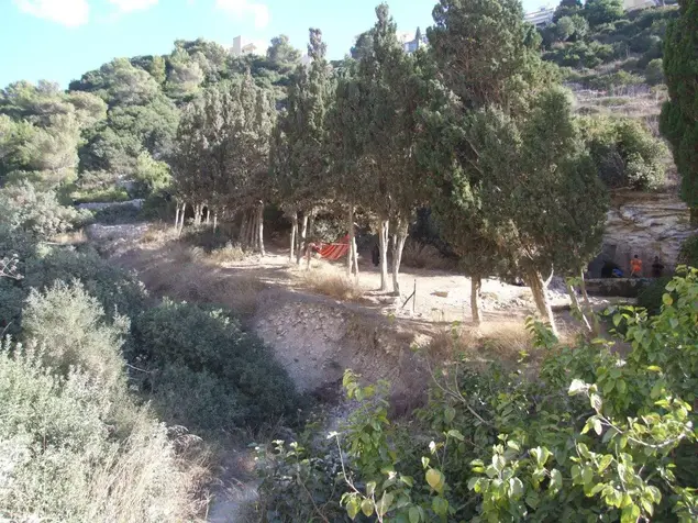 נחל שיח איל שפירא (מערכת וואלה!)