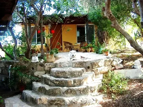 צימר צל הזית מושב צפרירים (יח"צ , צילום: צימר צל הזית)