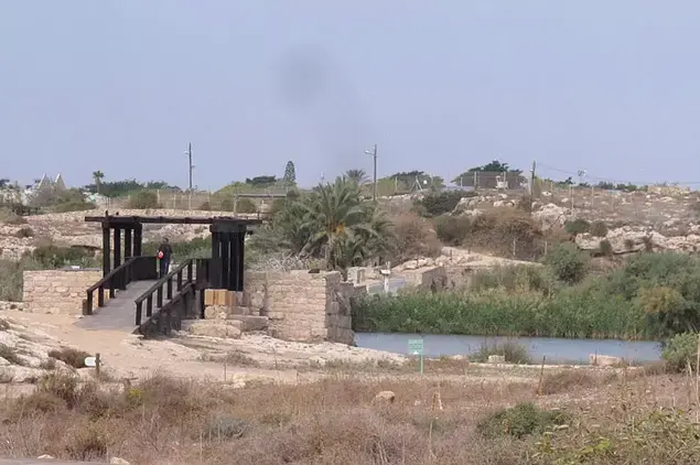 הגשר והקשת במפעל השיחזור בשמורת נחל תנינים (יח"צ , שרה גולד)