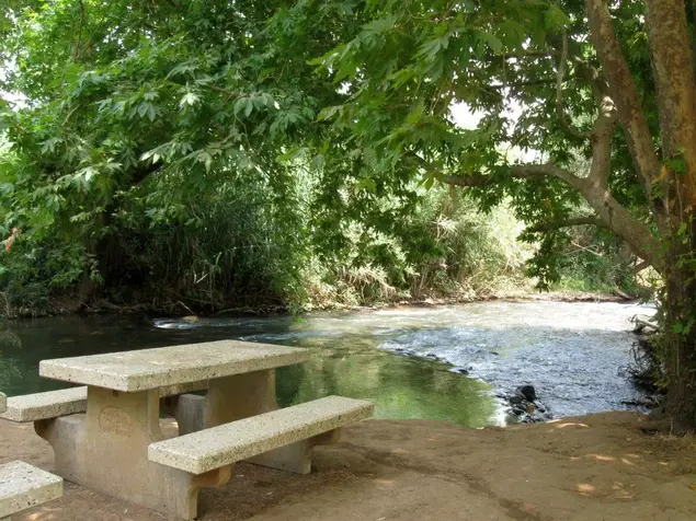 חוות פאולי על נחל הבניאס שאר ישוב (יח"צ , צילום: אריאלה אפללו)