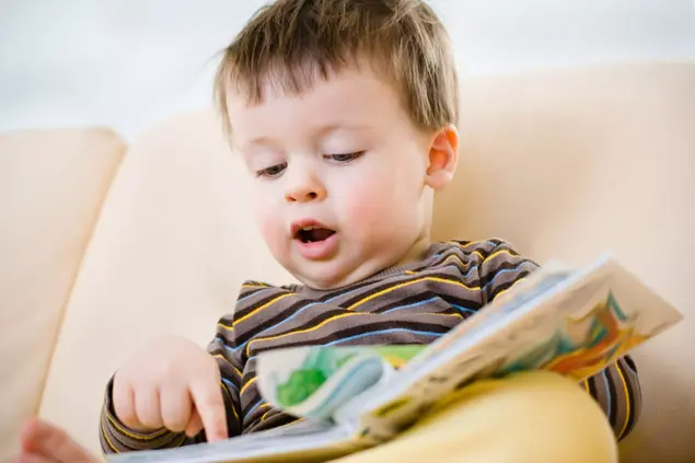 ילד קורא ספר (ShutterStock)