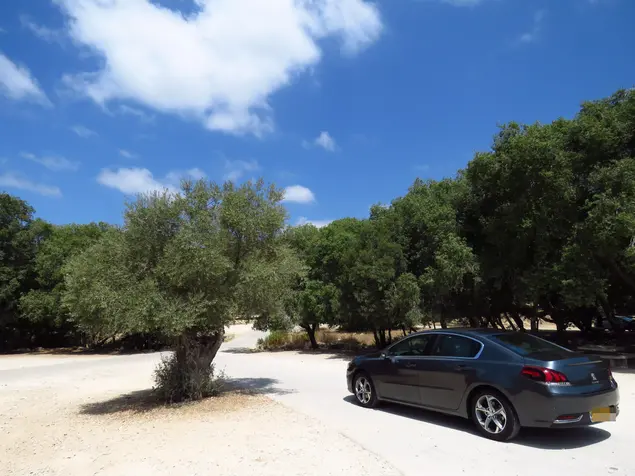 מבחן ארוך טווח פיג'ו 508 (קובי ליאני)