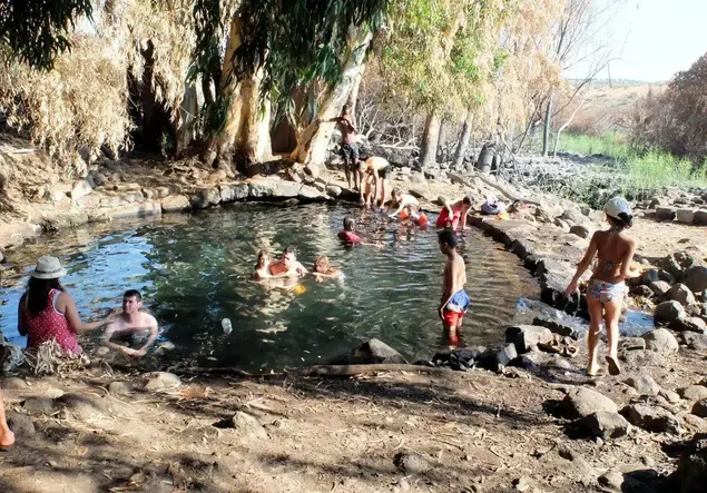מעיין עין אמפי עין איקליפטוס ברמת הגולן (מערכת וואלה! NEWS , איל שפירא)