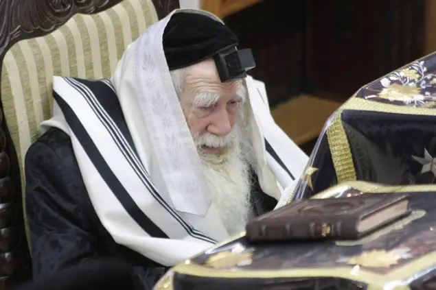 האדמו"ר מערלוי, רבי יוחנן סופר (מערכת וואלה! NEWS , משה גולדשטיין - בחדרי חרדים)