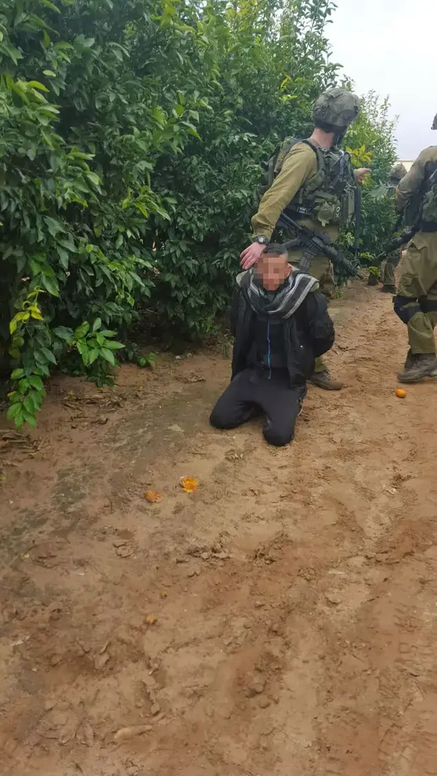 השוהים הבלתי חוקיים שנתפסו במועצה האזורית אשכול (מערכת וואלה! NEWS , כיתת כוננות יש"ע)