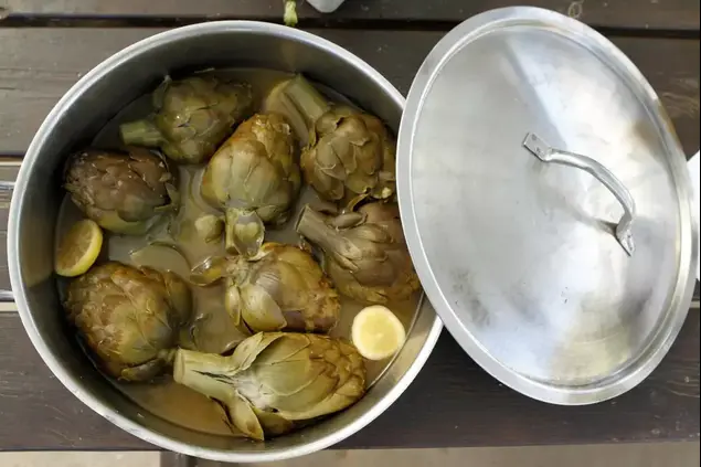 הארטישוק של נועם יעקובא (יוסי ציפקיס)