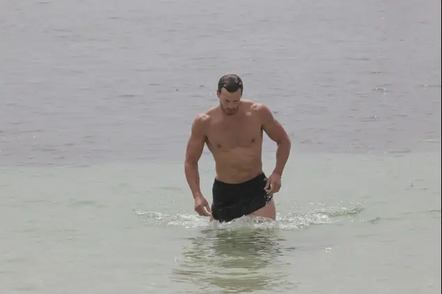 מייקל לואיס גפן ברקאי איביזה (שוקה כהן)