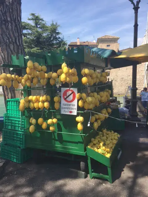 דוכן מיצים באיטליה עם שלט בעברית לא לגעת (צילום מסך)