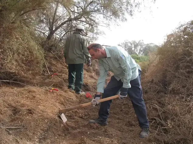 סינגלים ביערות קק"ל (מערכת וואלה! NEWS , זוהר צפון, ארכיון הצילומים קק”ל)
