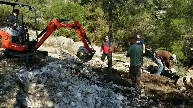 סינגלים ביערות קק"ל (מערכת וואלה! NEWS , זוהר צפון, ארכיון הצילומים קק”ל)
