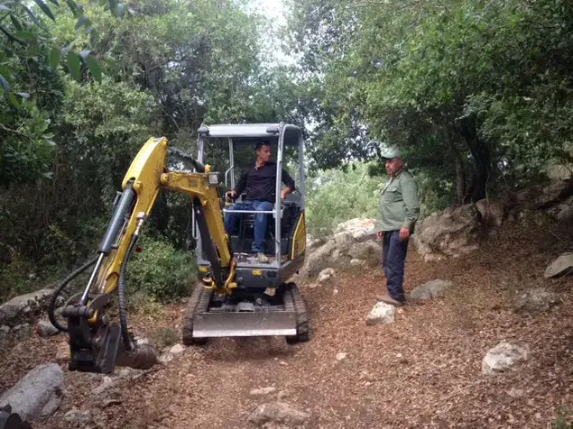 סינגלים ביערות קק"ל (מערכת וואלה! NEWS , זוהר צפון, ארכיון הצילומים קק”ל)
