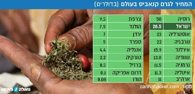 המחיר לגרם קנאביס בעולם (בדולרים) (ShutterStock)