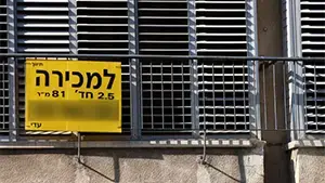 אילוסטרציה נדל"ן (ניר לנדאו, מערכת וואלה!)
