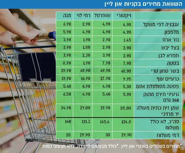 השוואת מחירים בקניות און ליין (ShutterStock)