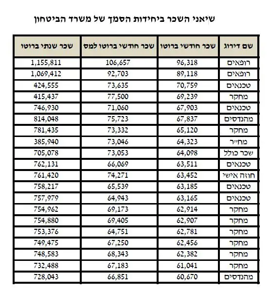 שיאני השכר (צילום מסך , משרד האוצר)