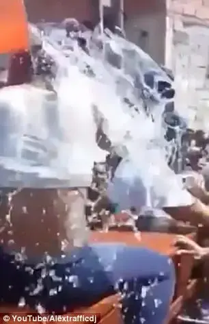 טוורקינג (צילום מסך)