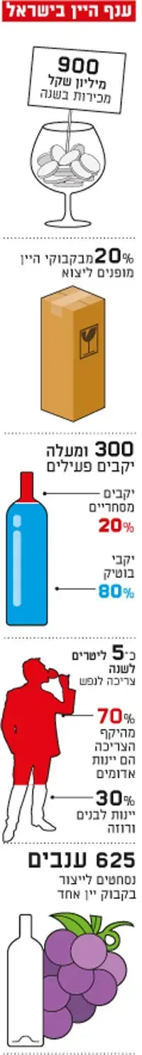 שוק היין (גלובס)