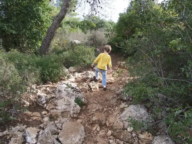 נחל קטלב (מערכת וואלה! NEWS , איל שפירא)