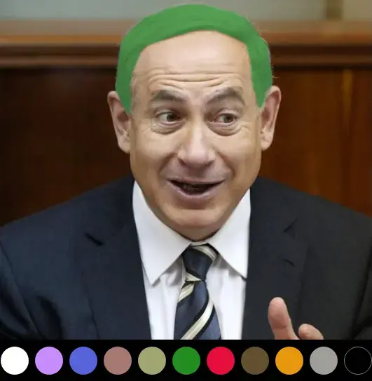 מחולל שיער של ביבי (צילום מסך)