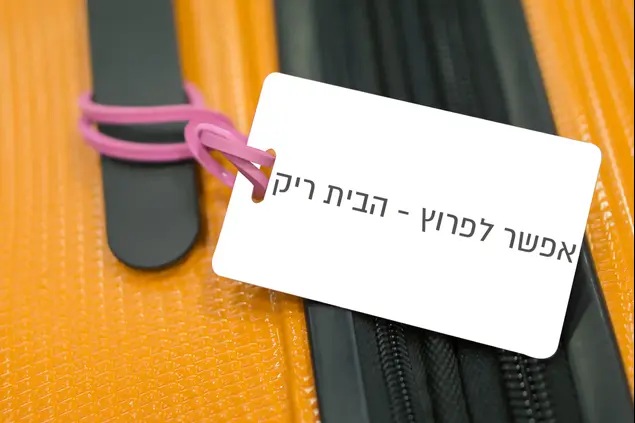 מזוודה טיסה (ShutterStock)