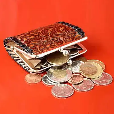 ארנק עם כסף (ShutterStock)