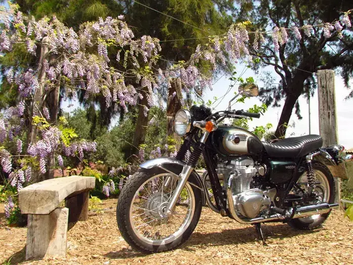 מבחן דו גלגל קוואסאקי W800 (קובי ליאני) מבחן דו גלגל קוואסאקי W800 (קובי ליאני)