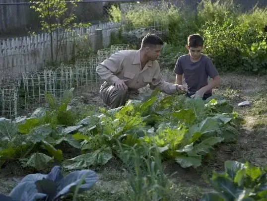 מתוך עץ החיים (imdb) מתוך עץ החיים (imdb)