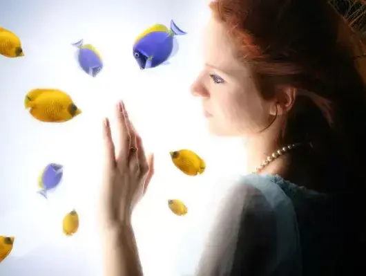 אילוסטרציה (ShutterStock) אילוסטרציה (ShutterStock)