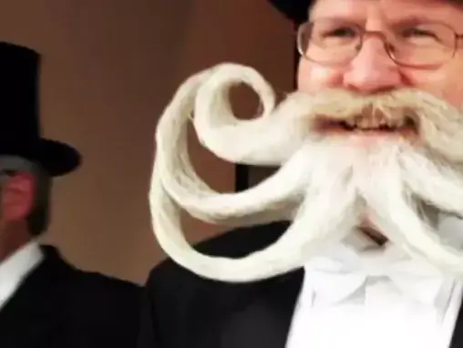 מתוך התכנית " Whisker Wars" (צילום מסך) מתוך התכנית " Whisker Wars" (צילום מסך)