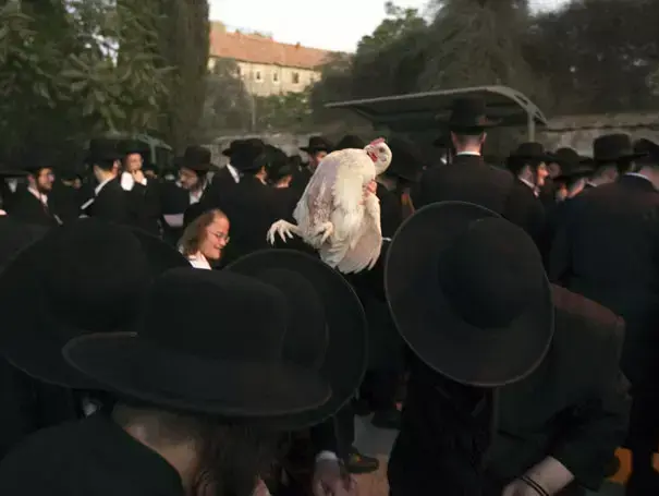 חרדים בשכונת מאה שערים בירושלים בטקס כפרות, 5 אוקטובר 2011 (רויטרס) חרדים בשכונת מאה שערים בירושלים בטקס כפרות, 5 אוקטובר 2011 (רויטרס)