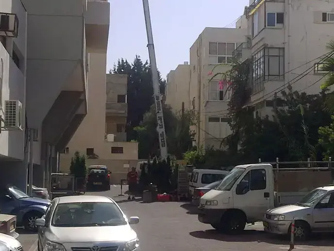 יונית לוי (תמונות גולשים)