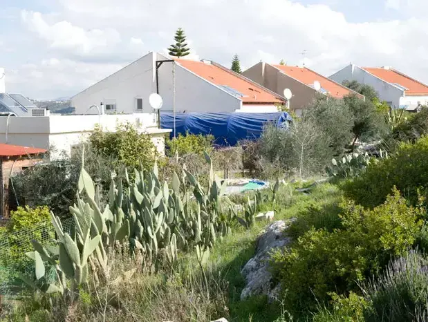 בית אריה-עופרים, ישוב קהילתי ומועצה מקומית המצויה באזור יהודה ושומרון, ינואר 2012 (נמרוד סונדרס) בית אריה-עופרים, ישוב קהילתי ומועצה מקומית המצויה באזור יהודה ושומרון, ינואר 2012 (נמרוד סונדרס)