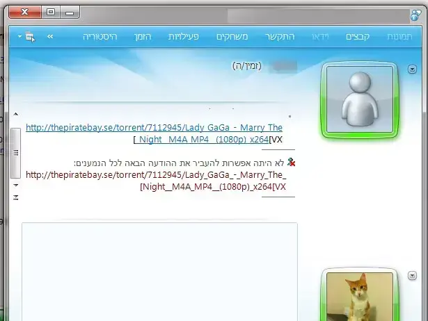 מסנג'ר פיירט ביי (צילום מסך) מסנג'ר פיירט ביי (צילום מסך)