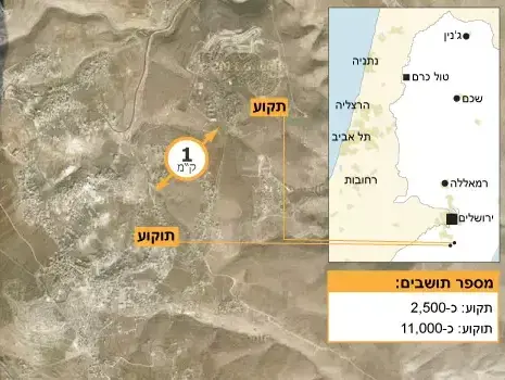 נוהל שכן (מערכת וואלה! NEWS) נוהל שכן (מערכת וואלה! NEWS)