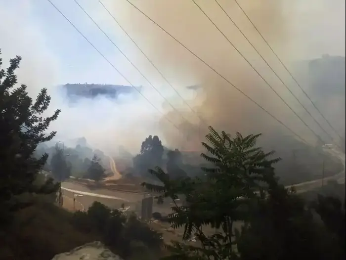 שריפה בצומת מוצא בירושלים (חדשות 24) שריפה בצומת מוצא בירושלים (חדשות 24)