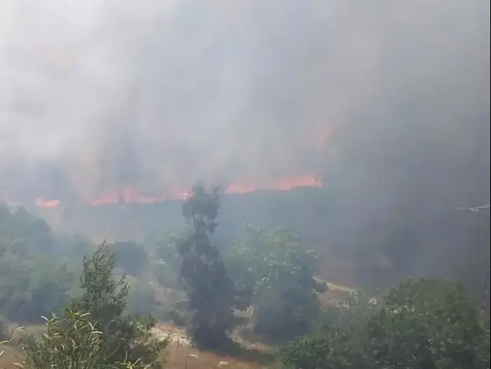 שריפה בצומת מוצא בירושלים (חדשות 24) שריפה בצומת מוצא בירושלים (חדשות 24)