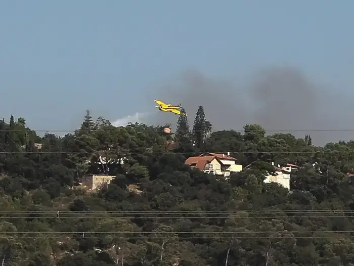 שריפה בקרית טבעון , אוגוסט 2012 (ערן גילווארג) שריפה בקרית טבעון , אוגוסט 2012 (ערן גילווארג)