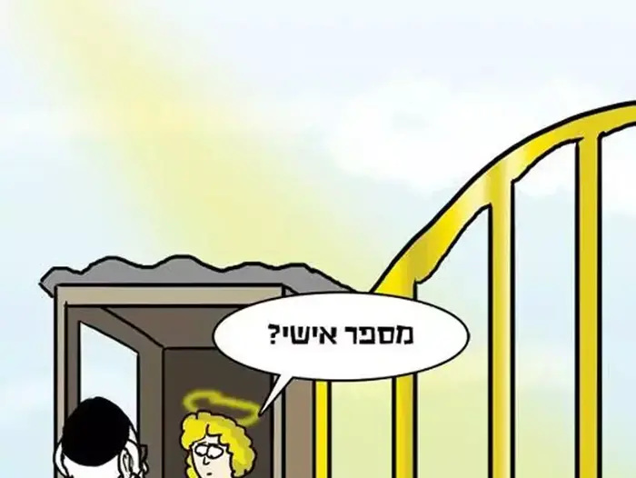 אור רייכרט (צילום מסך , אור רייכרט)