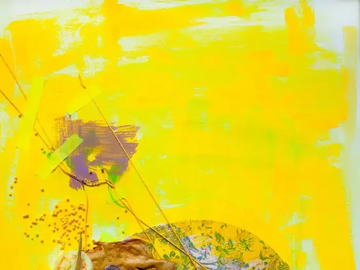 תערוכת colorfood (דן לב) תערוכת colorfood (דן לב)