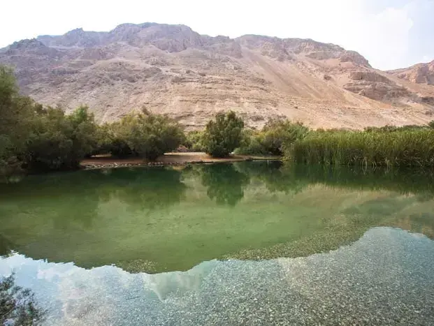 עינות צוקים (דורון ניסים) עינות צוקים (דורון ניסים)