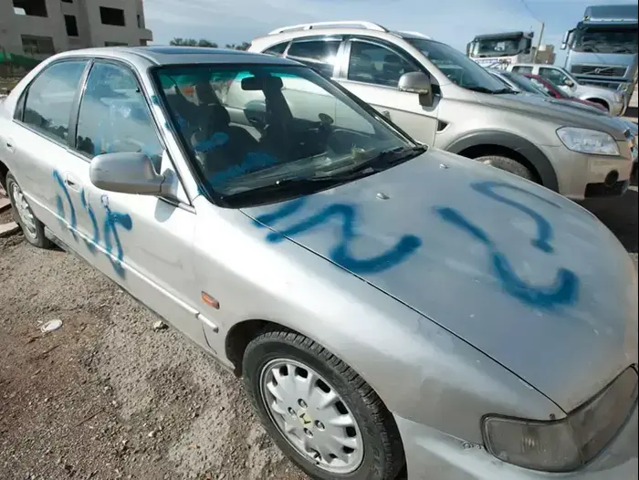 תג מחיר בשועפט, נובמבר 2012 (עומר מירון) תג מחיר בשועפט, נובמבר 2012 (עומר מירון)